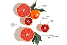 Load image into Gallery viewer, Gouache Lovers Brush Set