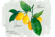 Load image into Gallery viewer, Gouache Lovers Brush Set