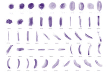 Load image into Gallery viewer, Messy Watercolor Brush Set