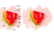 Load image into Gallery viewer, Messy Watercolor Brush Set