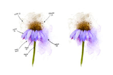 Load image into Gallery viewer, Messy Watercolor Brush Set