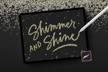 Load image into Gallery viewer, Shimmer & Shine Brush Set