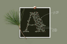 Load image into Gallery viewer, Shimmer & Shine Brush Set