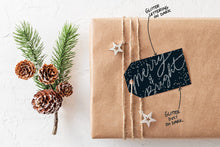 Load image into Gallery viewer, Shimmer & Shine Brush Set