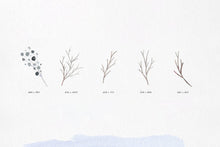 Load image into Gallery viewer, Winter Watercolors Kit