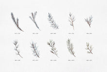 Load image into Gallery viewer, Winter Watercolors Kit