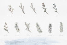 Load image into Gallery viewer, Winter Watercolors Kit