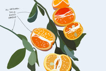 Load image into Gallery viewer, Gouache Lovers Brush Set