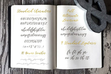 Load image into Gallery viewer, Hawthorne Script