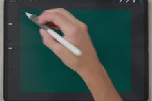 Load and play video in Gallery viewer, Holiday Pattern Combo Brushes
