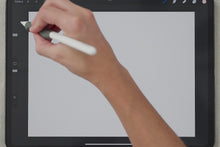 Load and play video in Gallery viewer, Holiday Pattern Combo Brushes
