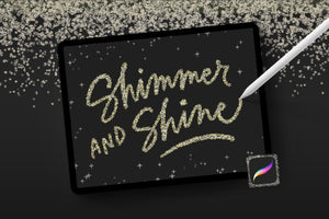 Shimmer & Shine Brush Set